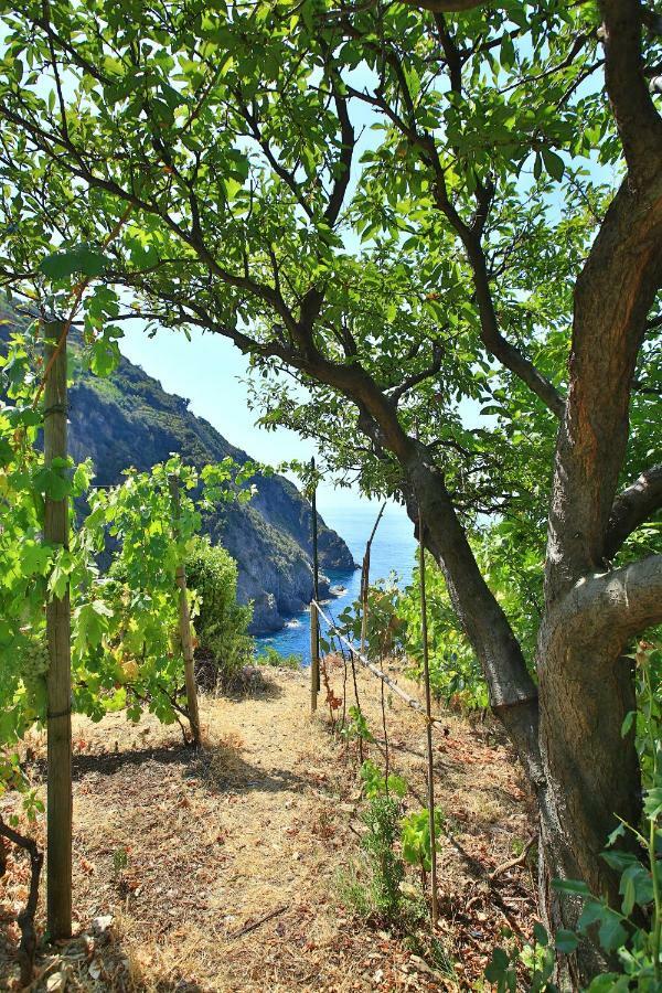 5 Terre For You Riomaggiore Exterior photo